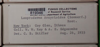 Image Associated With the Occurence